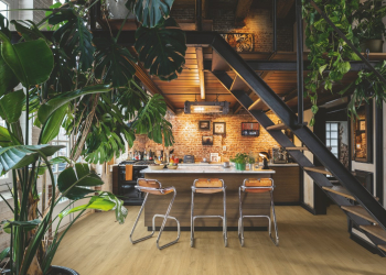 Design biofilic și sustenabilitate